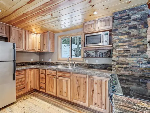 8995 Carol Ln, Conifer, CO 80433 photo 30