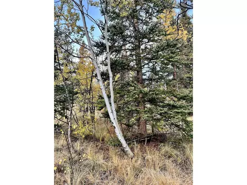 1076 Ute Trl, Como, CO 80432 photo 25