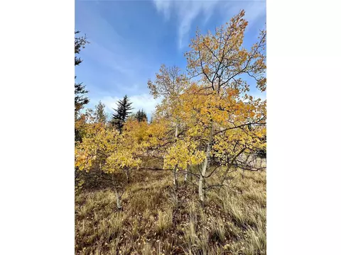 1076 Ute Trl, Como, CO 80432 photo 22