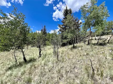 1076 Ute Trl, Como, CO 80432 photo 16