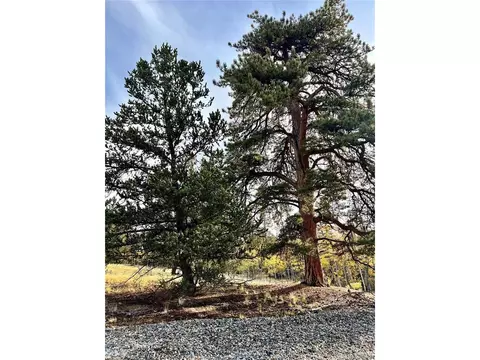1076 Ute Trl, Como, CO 80432 photo 42