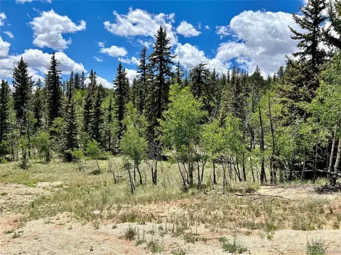 1076 Ute Trl, Como, CO 80432 photo 12