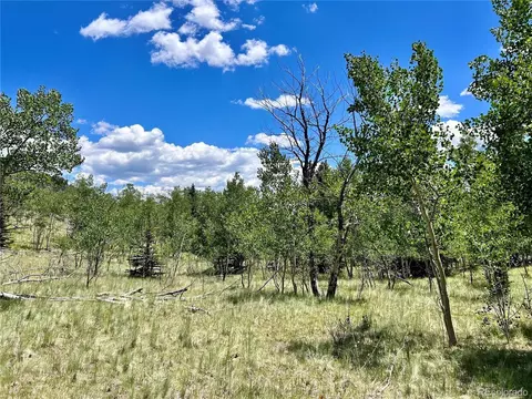 1076 Ute Trl, Como, CO 80432 photo 31