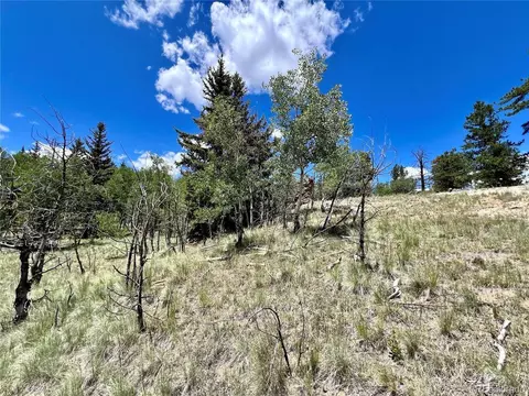 1076 Ute Trl, Como, CO 80432 photo 24