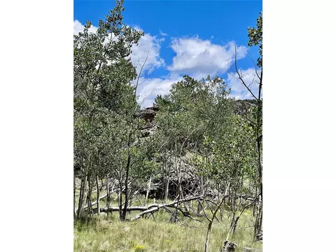 1076 Ute Trl, Como, CO 80432 photo 30
