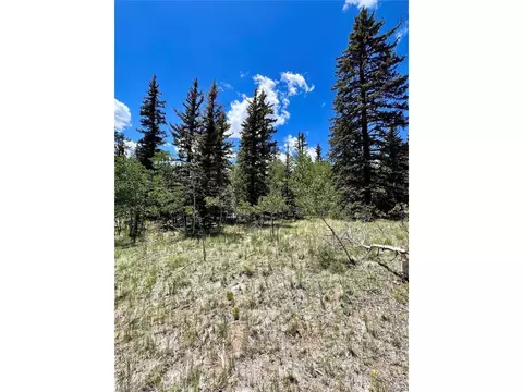 1076 Ute Trl, Como, CO 80432 photo 28