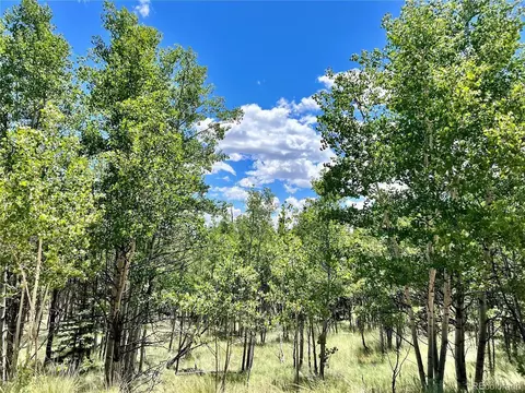 1076 Ute Trl, Como, CO 80432 photo 13
