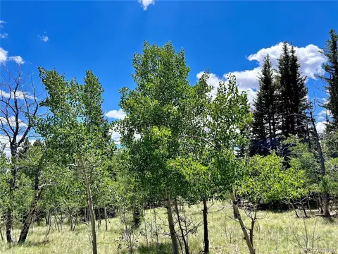 1076 Ute Trl, Como, CO 80432 photo 32