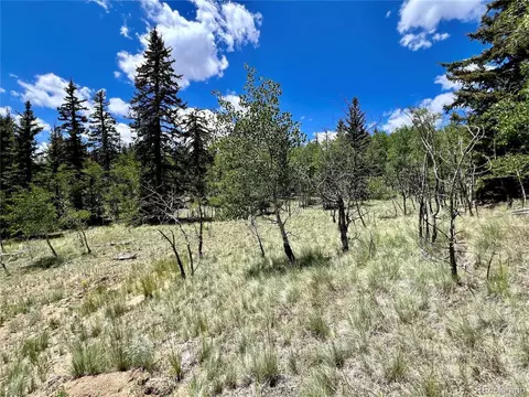 1076 Ute Trl, Como, CO 80432 photo 23