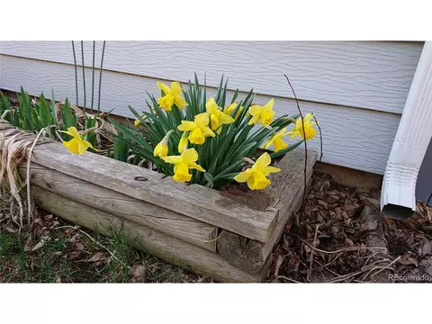 4693 Chatham St, Boulder, CO 80301 photo 36