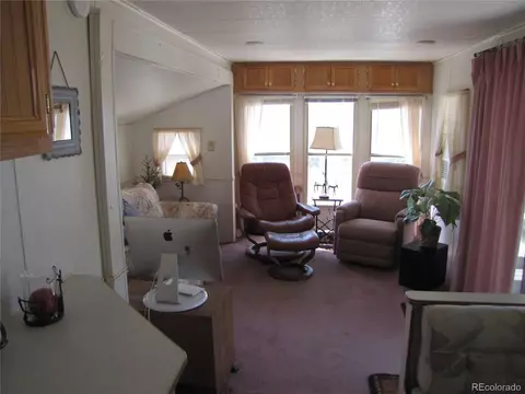 169 Lantern Loop, Hartsel, CO 80449 photo 35