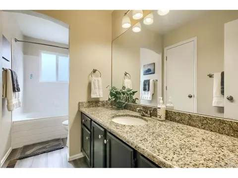 1639 E 96th Way, Thornton, CO 80229 photo 16