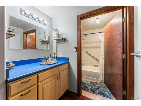 53 Old Townsite Rd, Boulder, CO 80302 photo 24