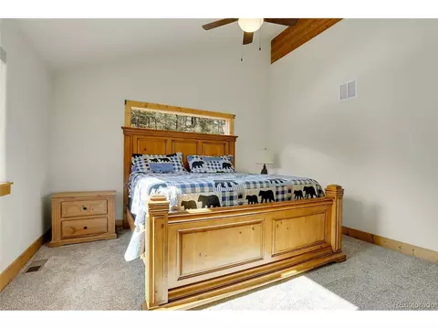 16348 Ouray Rd, Pine, CO 80470 photo 17