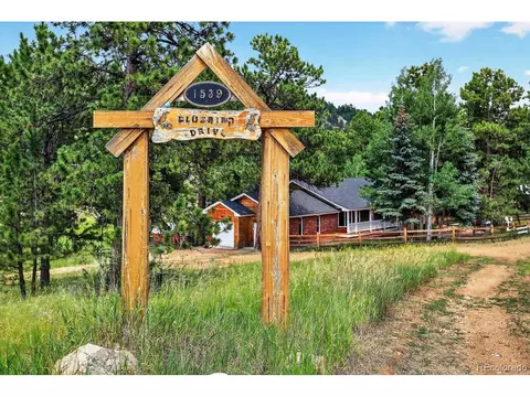 1539 Bluebird Dr, Bailey, CO 80421 photo 8
