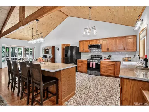 1539 Bluebird Dr, Bailey, CO 80421 photo 11