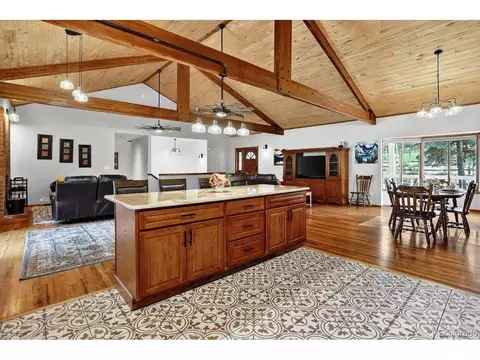 1539 Bluebird Dr, Bailey, CO 80421 photo 12