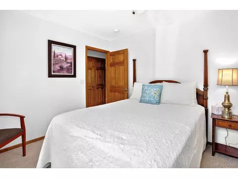 1539 Bluebird Dr, Bailey, CO 80421 photo 26