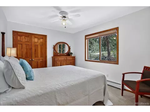 1539 Bluebird Dr, Bailey, CO 80421 photo 25