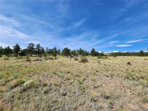 Trout St, Hartsel, CO 80449 photo 2