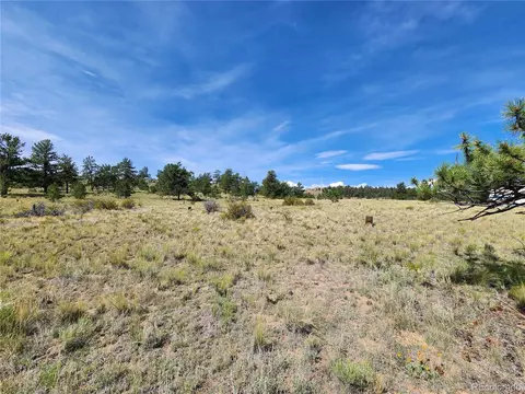 Trout St, Hartsel, CO 80449