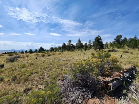 Trout St, Hartsel, CO 80449 photo 7