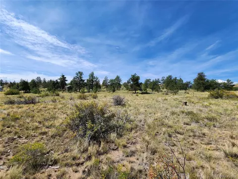 Trout St, Hartsel, CO 80449 photo 3