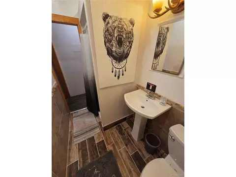 Bath - 704 Yellow Pine Dr, Bailey, CO 80421 photo 4 of 4