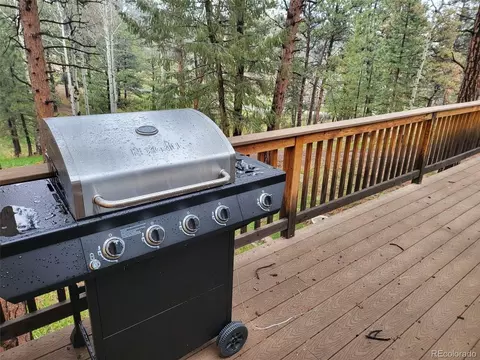 Exterior - 704 Yellow Pine Dr, Bailey, CO 80421 photo 4 of 5