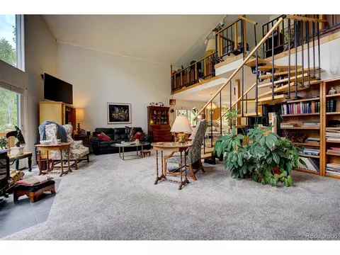 607 Clark Rd, Bailey, CO 80421 photo 12