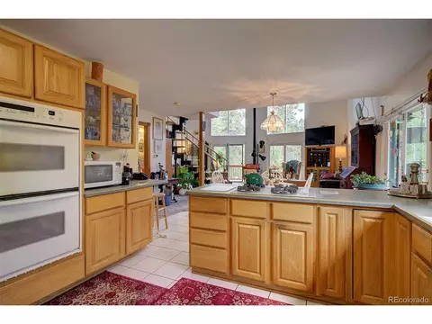 607 Clark Rd, Bailey, CO 80421 photo 20