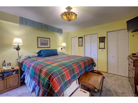 607 Clark Rd, Bailey, CO 80421 photo 23