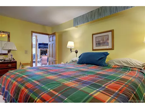 607 Clark Rd, Bailey, CO 80421 photo 24
