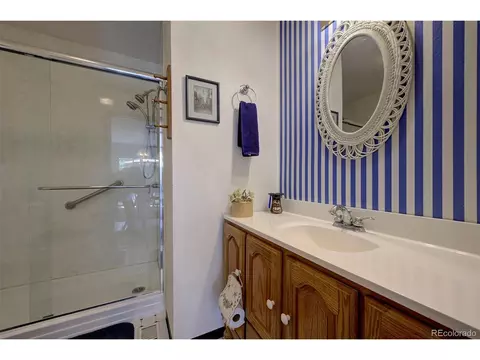 607 Clark Rd, Bailey, CO 80421 photo 21