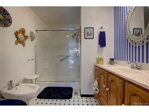 607 Clark Rd, Bailey, CO 80421 photo 22
