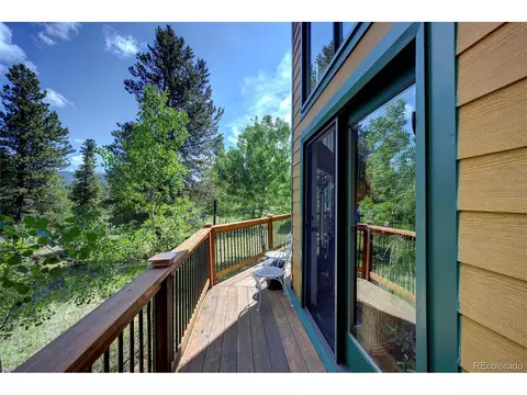 607 Clark Rd, Bailey, CO 80421 photo 33
