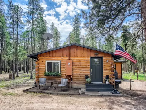 144 Road 115, Bailey, CO 80421 photo 2