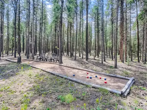 144 Road 115, Bailey, CO 80421 photo 30