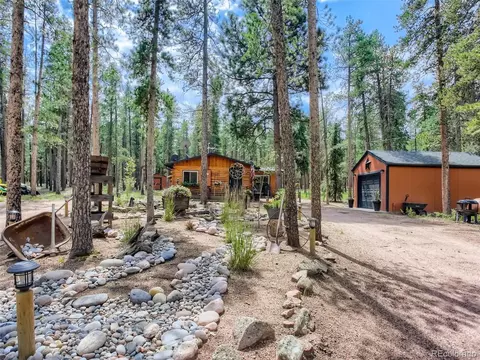 144 Road 115, Bailey, CO 80421 photo 7