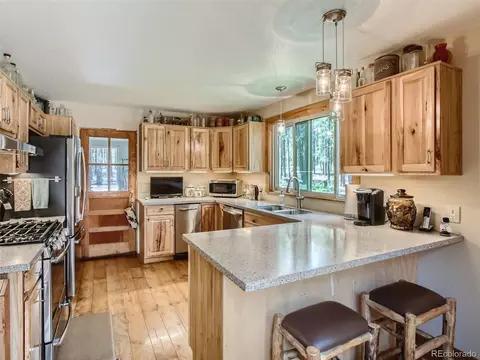 144 Road 115, Bailey, CO 80421 photo 10