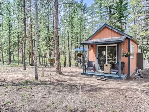 144 Road 115, Bailey, CO 80421 photo 21