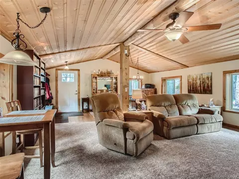 144 Road 115, Bailey, CO 80421 photo 16