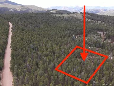 144 Road 115, Bailey, CO 80421 photo 34
