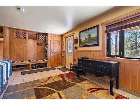324 Stage Coach Dr, Bailey, CO 80421 photo 21