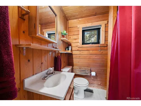 324 Stage Coach Dr, Bailey, CO 80421 photo 17