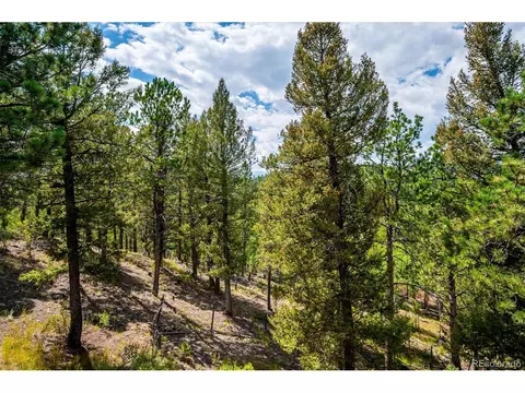 33623 Freda Rd, Pine, CO 80470 photo 19