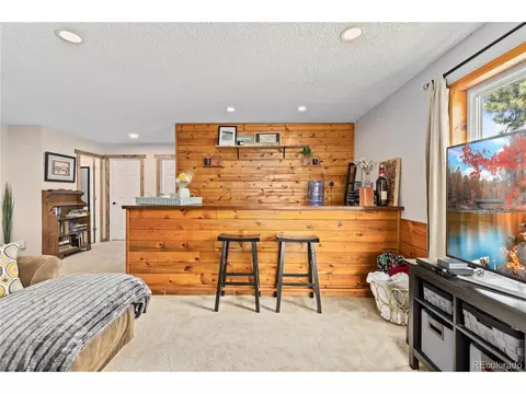 278 Overlook Dr, Bailey, CO 80421 photo 17