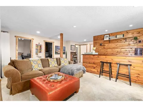 278 Overlook Dr, Bailey, CO 80421 photo 15