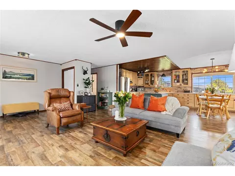 278 Overlook Dr, Bailey, CO 80421 photo 5