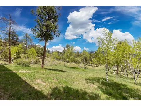 278 Overlook Dr, Bailey, CO 80421 photo 25